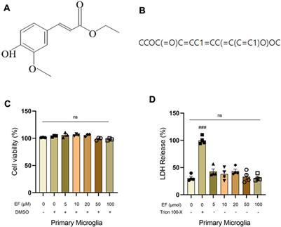 A monoamine oxidase B inhibitor ethyl ferulate suppresses microglia-mediated neuroinflammation and alleviates ischemic brain injury